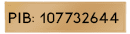 https://sajt-test.in.rs/wp-content/uploads/2025/06/pib.png
